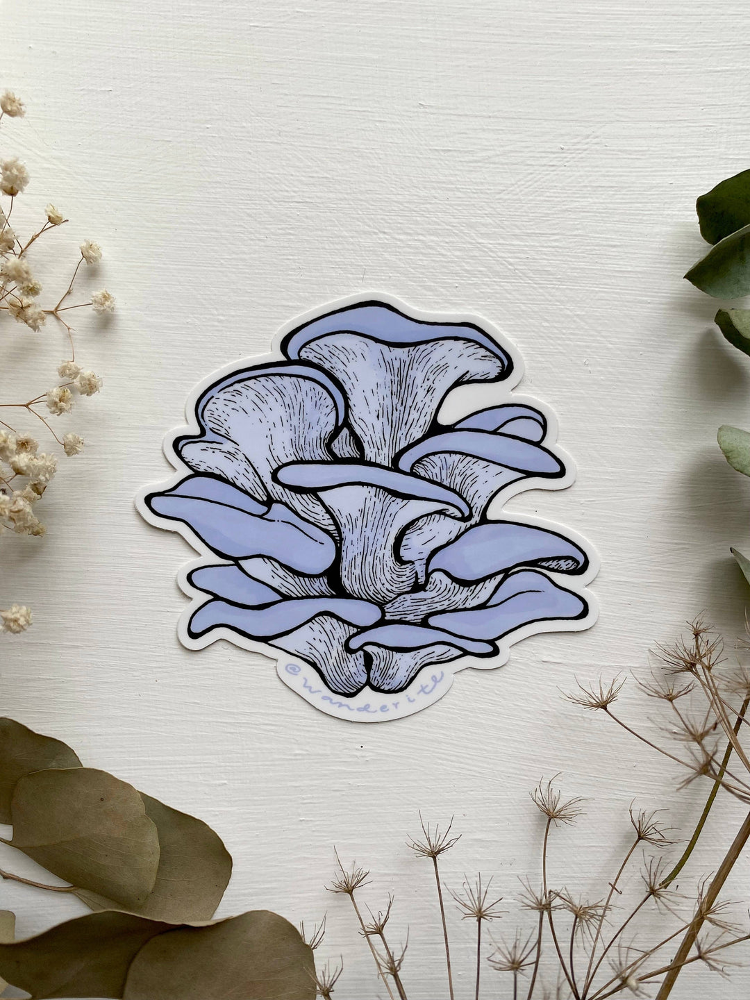 Blue Oyster Mushroom Sticker